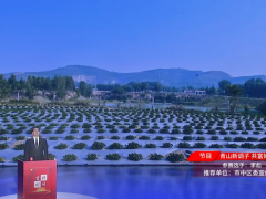 百姓宣講丨故事類：李彪《青山新調子 共富好聲音》